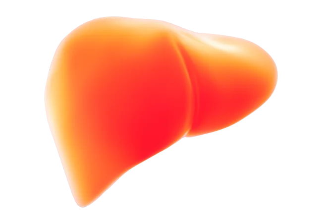 Detoks organizmu – na czym polega i jak go zrobić?